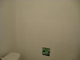 lower bathroom reno 2010